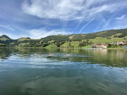 18 Morgenschwimmen im Schwarzsee