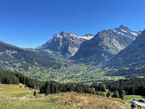 10 Grindelwald