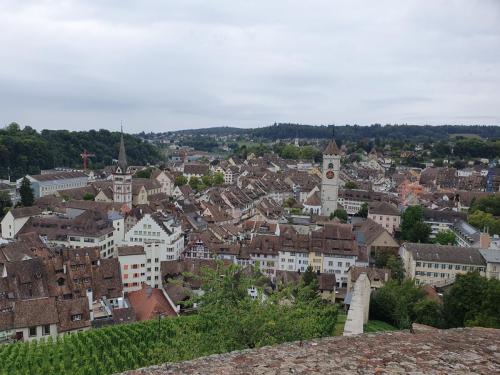 36 Sicht über Schaffhausen