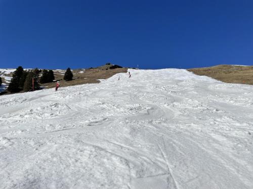 IMG 4292