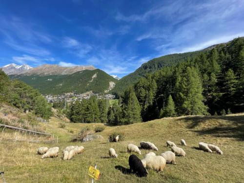06 Wanderung (2)