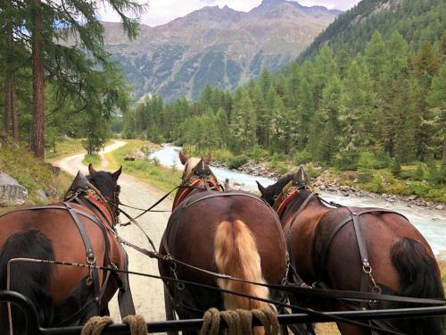 11 Kutschfahrt Val Roseg-Pontresina (17)
