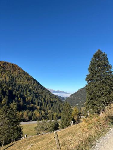 FB5502C2-4667-49D1-80E7-B53787EF11D0